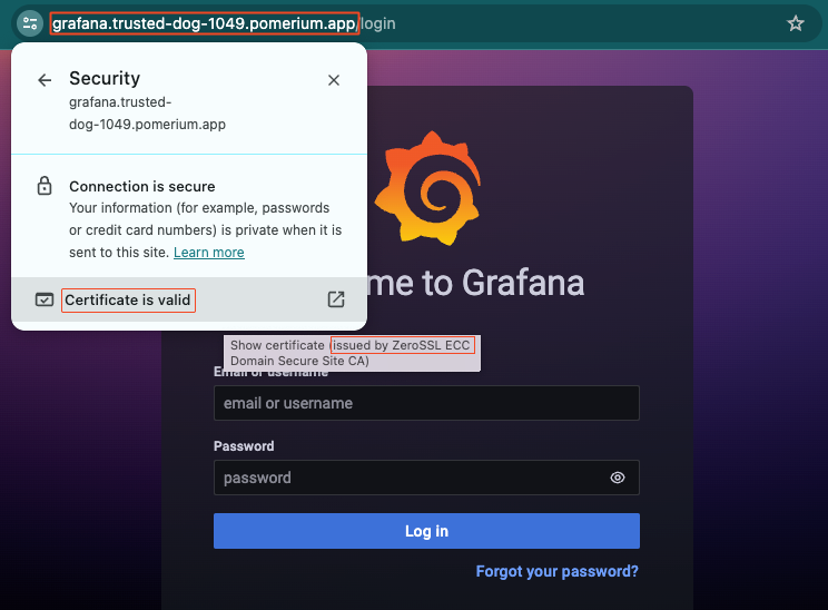 Reviewing the service's TLS certificate